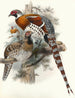 Calophasis Ellioti - Joseph Smit — vista dell’opera
