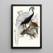 Euplocomus nycthemerus - Joseph Smit — quadro incorniciato alla parete