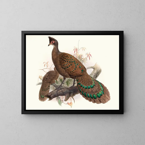 Poule à double ergots - Joseph Smit — quadro incorniciato alla parete