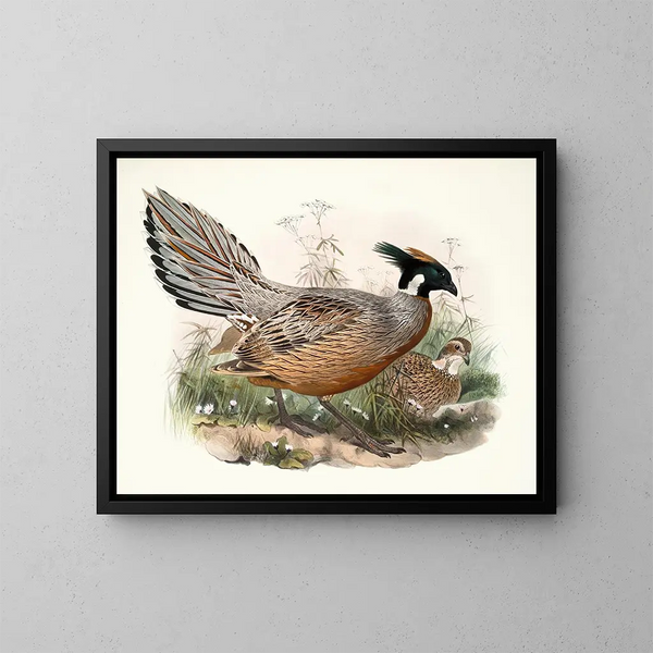 Purcasie de Darwin - Joseph Smit — quadro incorniciato alla parete