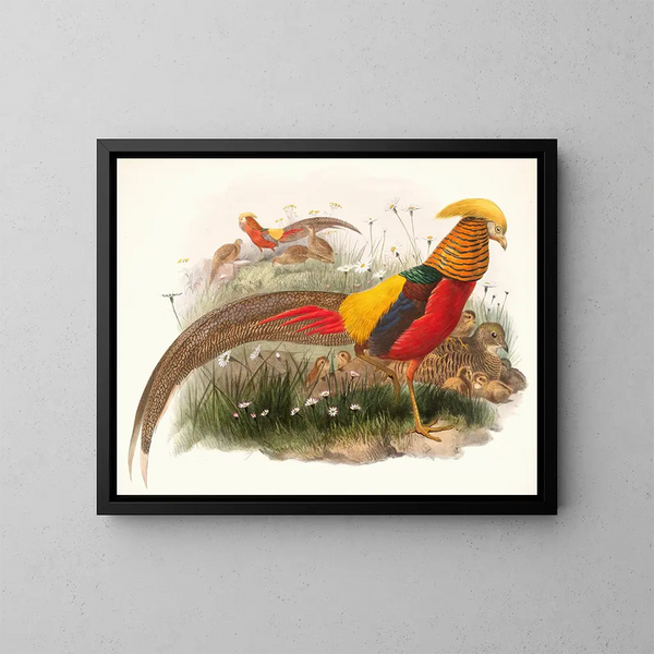 Thaumalea dipinto - Joseph Smit — quadro incorniciato alla parete