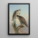 Faucon gerfaut norvegese - Joseph Wolf — quadro incorniciato alla parete