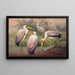 L'ibis bois africain - Joseph Wolf — quadro incorniciato alla parete