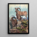 L'Aoudad - Joseph Wolf — quadro incorniciato alla parete