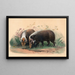 Il cinghiale - Joseph Wolf — quadro incorniciato alla parete