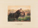 L'Hippopotame - Joseph Wolf — vista dell’opera