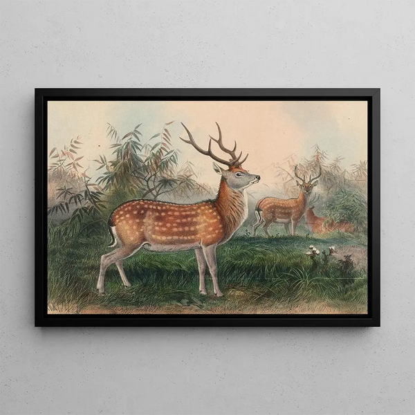 Le Cerf japonais - Joseph Wolf — quadro incorniciato alla parete