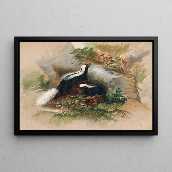 Joseph Wolf - The Patagonian Skunk.webp