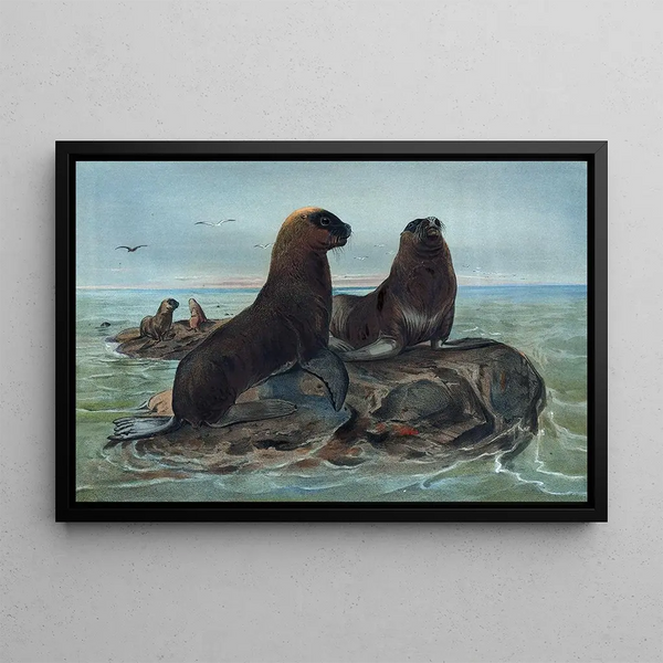 Joseph Wolf - The Sea Bear.webp
