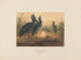 Le bec-en-sabot - Joseph Wolf — vista dell’opera