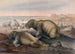 Le Morse - Joseph Wolf — vista dell’opera