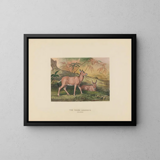 Joseph Wolf - The Young Leucoryx.webp