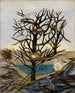 Nidificazione degli uccelli acquatici - Josephine Joy — vista dell’opera