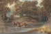 Paesaggio con cervi in Carolina del Nord - Joshua Shaw — vista dell’opera