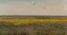 Coucous - Józef Chełmoński — vista dell’opera