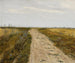 Pista di campi - Józef Chełmoński — vista dell’opera