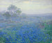 Un jour nuageux, dei bluebonnets vicino a San Antonio, Texas - Julian Onderdonk — vista dell’opera