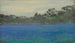 Campo di bluebonnets - Julian Onderdonk — vista dell’opera