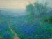 Bluets all'alba nel nord di San Antonio - Julian Onderdonk — vista dell’opera