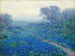 Blueberries all'alba - Julian Onderdonk — vista dell’opera