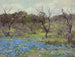 Primavera precoce, Bluebonnets e Mesquite - Julian Onderdonk — vista dell’opera