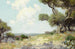 Nelle colline del sud-ovest del Texas - Julian Onderdonk — vista dell’opera