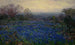 senza titolo, campo di Bluebonnets - Julian Onderdonk — vista dell’opera