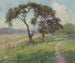Paesaggio della regione delle colline del Texas senza titolo - Julian Onderdonk — vista dell’opera