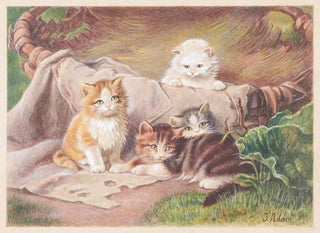 Julius Adam the elder - Spielende Katzen.webp