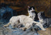 Mère chat avec deux chatons - Julius Anton Adam — vista dell’opera