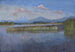 Rive del Chiemsee - Julius Exter — vista dell’opera
