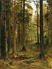 Il Piccolo Chaperon Rouge - Julius Sergius Klever — vista dell’opera