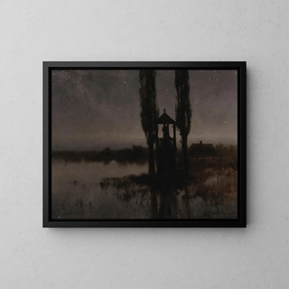 Marais notturno - Józef Rapacki — quadro incorniciato alla parete