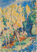 Stromy - Karel Borrekens — vista dell’opera