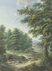 Pascolo recintato nella foresta con un abbeveratoio per bestiame in primo piano - Karl Franz Kraul — vista dell’opera