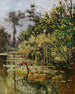 Altwasser con anatre in autunno - Karl Hagemeister — vista dell’opera