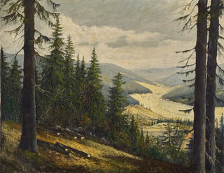Karl Julius Wilhelm Heilmann - A look at the Black Forest.webp