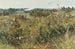 Grez-sur-Loing - Karl Nordström — vista dell’opera