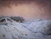 Caduta di neve - Karl Nordström — vista dell’opera