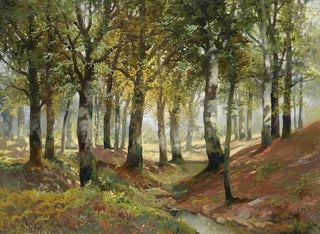 Paesaggio boschivo - Karl Vikas — vista dell’opera