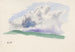Studio della natura VI - Karl Wiener — vista dell’opera