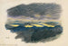 Studio della natura XLII - Karl Wiener — vista dell’opera