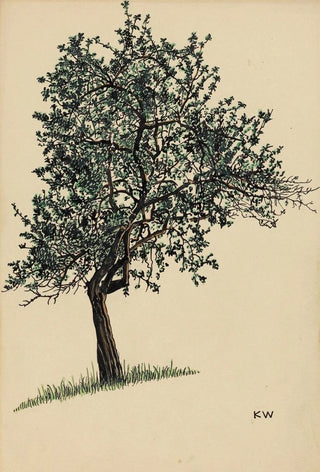 Karl Wiener - Ohne Titel Laubbaum.webp