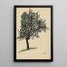 Sans titre arbre feuillu - Karl Wiener — quadro incorniciato alla parete