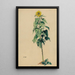 Tournesol - Karl Wiener — quadro incorniciato alla parete