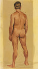 Nu masculin VII - Karl Wiener — vista dell’opera