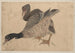 Album di schizzi di lui e dei suoi discepoli Pl. 37 - Katsushika Hokusai — vista dell’opera