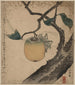 Kaki ni kirigirisu - Katsushika Hokusai — vista dell’opera