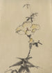 Fleur jaune avec bourgeon sur une tige au-dessus des feuilles - Katsushika Hokusai — vista dell’opera