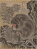 Singes - Kawanabe Kyōsai — vista dell’opera